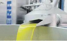 La crisi dell'olio d'oliva: silos pieni, prezzi dimezzati e la minaccia delle importazioni estere