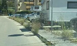 Fontanelle dimenticata, il quartiere-giungla che mette a rischio i residenti