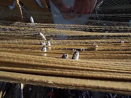  Produttori, cuochi e pescatori portano a Torino il patrimonio alimentare della Sicilia 

