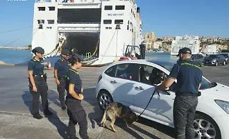 Blitz e controlli antidroga ad Agrigento: entra in servizio Nolly, il giovane pastore tedesco della Guardia di Finanza