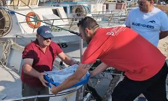 BlueFishers porta mille cassette riutilizzabili a Sciacca: la filiera ittica dice addio al polistirene espanso