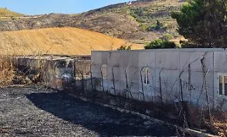 Agrigento, raid incendiario a Fauma: in cenere canile e decine di ulivi