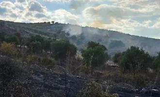 Rogo devastante tra Cattolica Eraclea e Montallegro: piromane brucia ettari di colture, minacciate le case