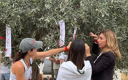L'Albero della Memoria alla Valle dei Templi contro la violenza sulle donne