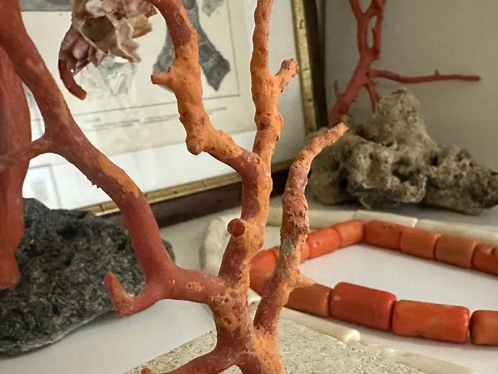 L&rsquo;affascinante storia del corallo di Sciacca in una mostra nella Citt&agrave; dei templi 