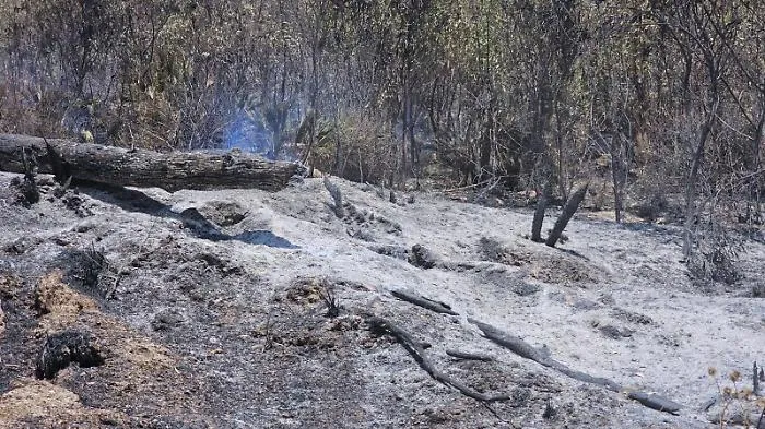 Inferno di fuoco a Torre Salsa: tre focolai distruggono la riserva naturale, caccia ai piromani