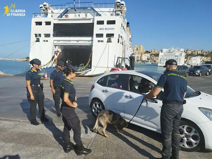 Blitz e controlli antidroga ad Agrigento: entra in servizio Nolly, il giovane pastore tedesco della Guardia di Finanza