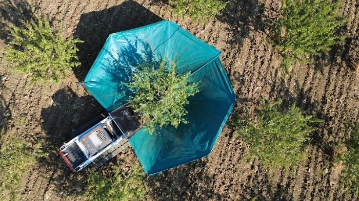 Dai prodotti "bio" una rete per cambiare il futuro della Sicilia