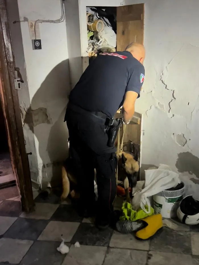Rapina a un turista al Foro Italico e spaccio di cocaina a Borgo Vecchio: due arresti dei Carabinieri a Palermo