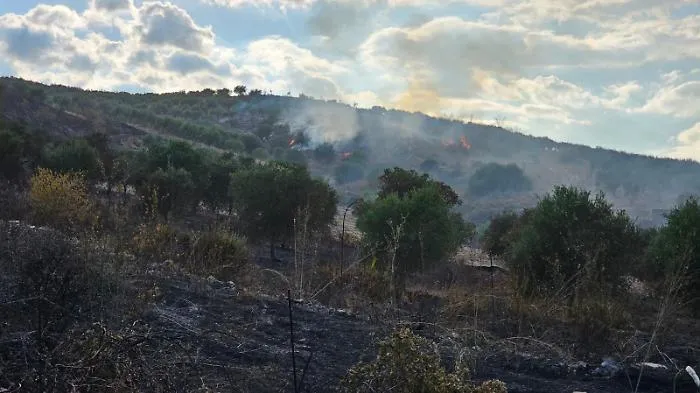 Rogo devastante tra Cattolica Eraclea e Montallegro: piromane brucia ettari di colture, minacciate le case