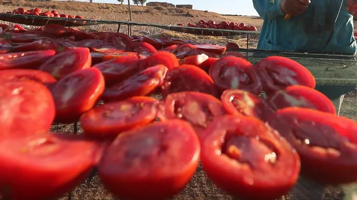 Salmonella e pomodori crudi: cosa si sa davvero sul rischio e come proteggersi